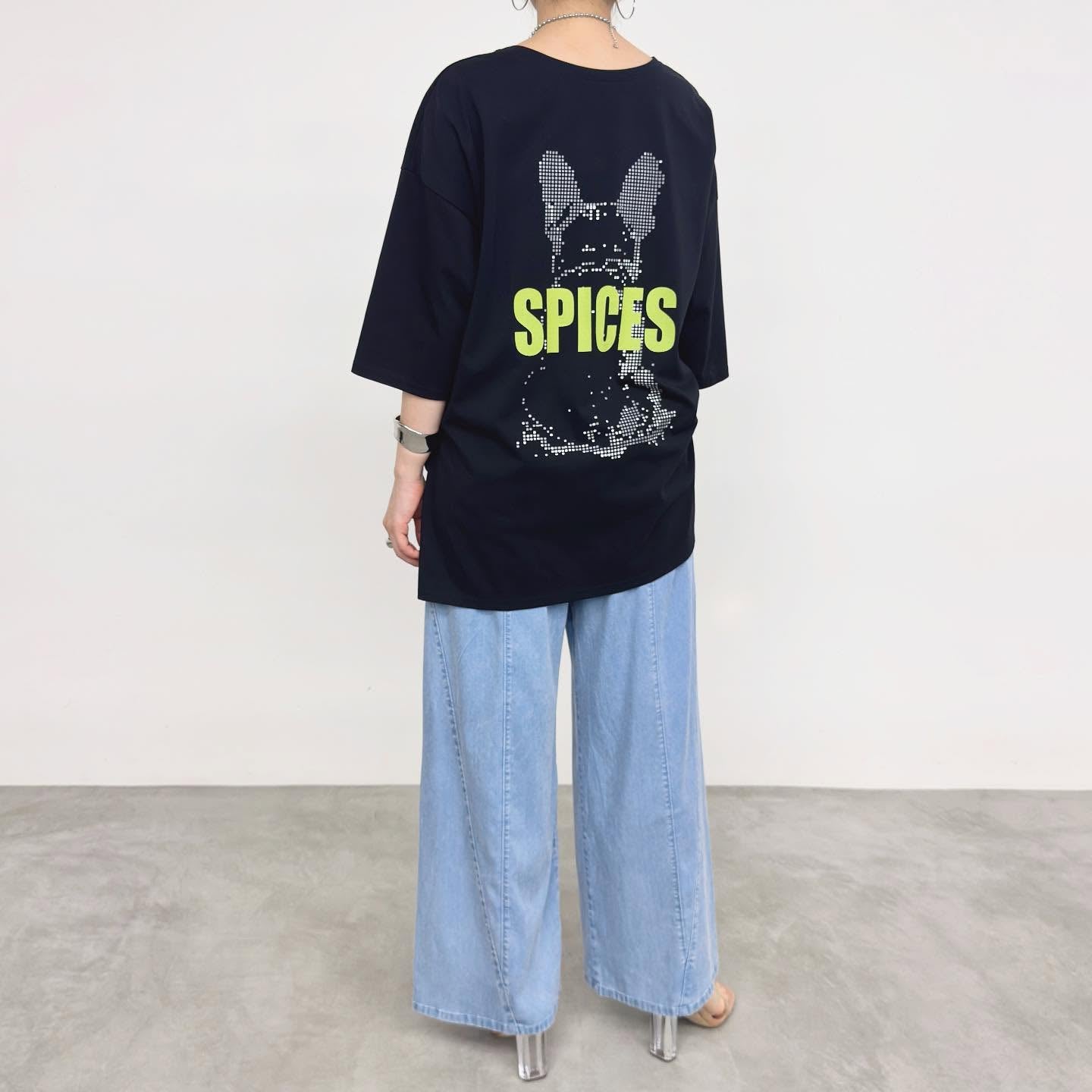 【NUS】プレミアム天笠2WAYイラストロゴビッグT/610-35036