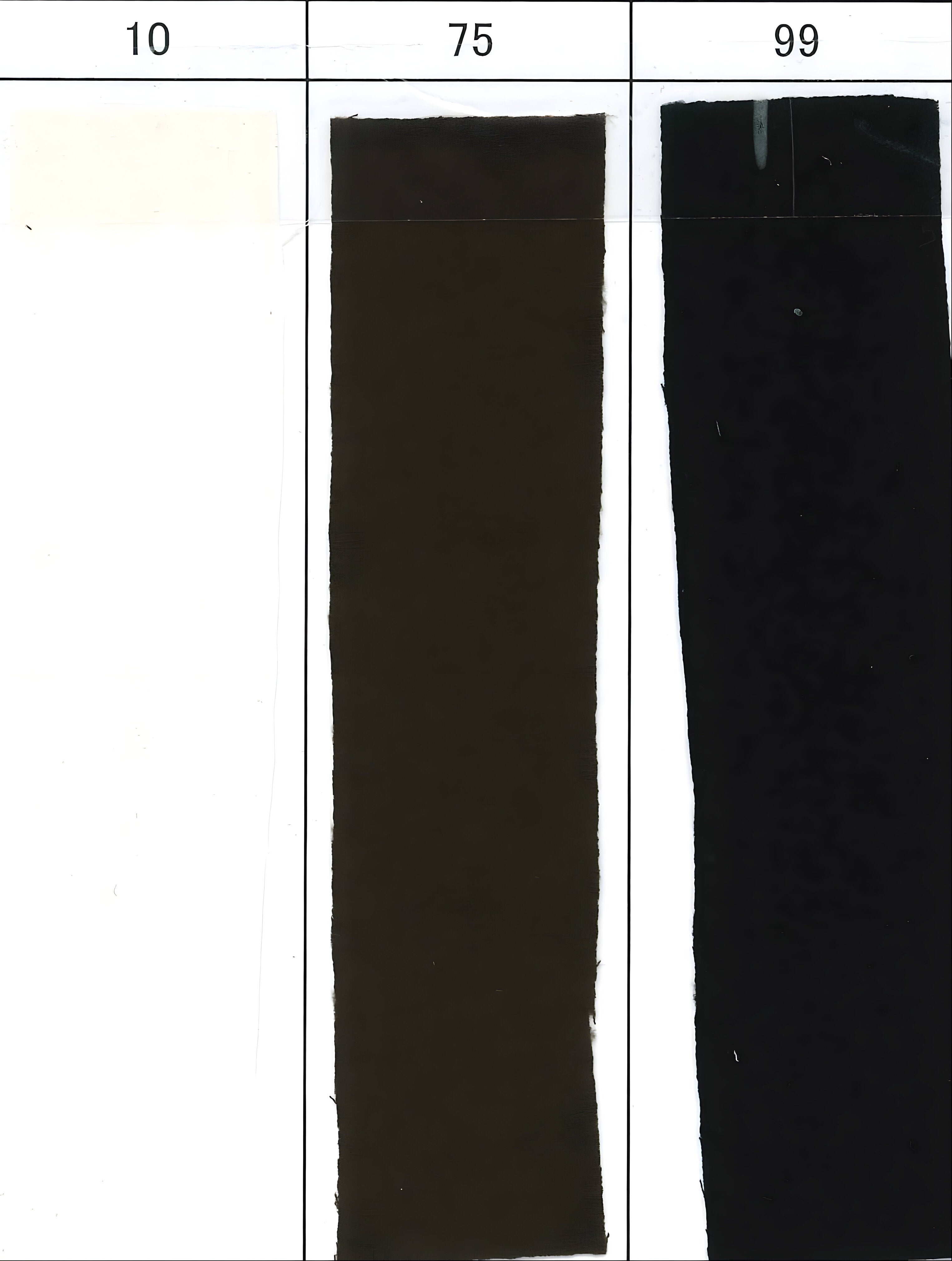 【cafune】マットストレッチジョーゼットハーフスリーブT/35902