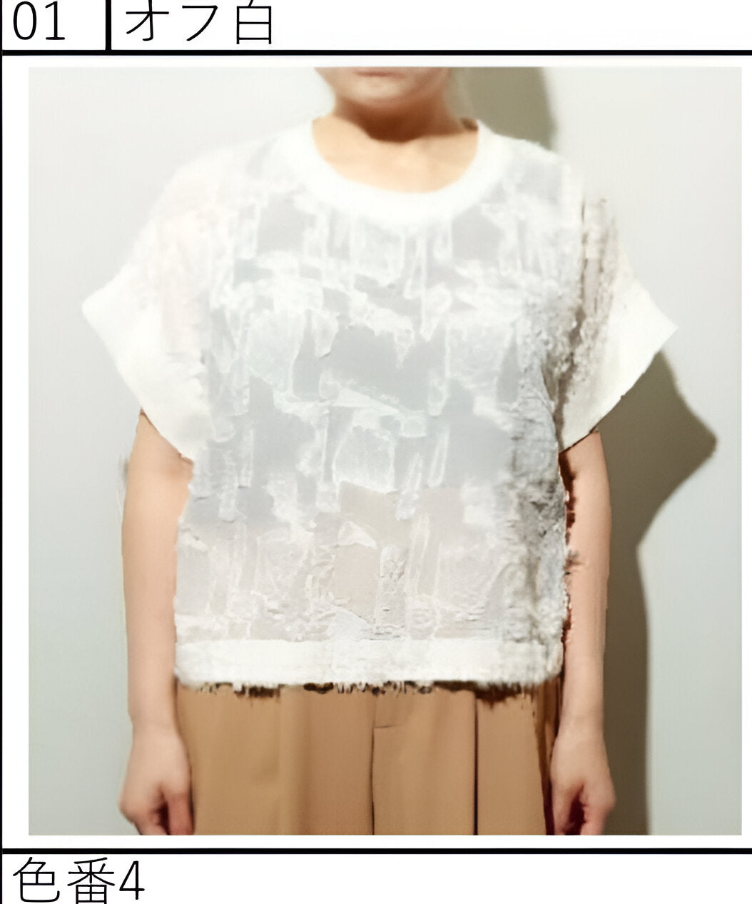 【ANGELINA】カットジャガード半袖プルオーバー/26153-1977E