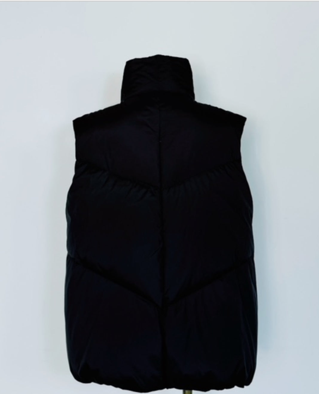 ダウンベスト PASSIONE/446423