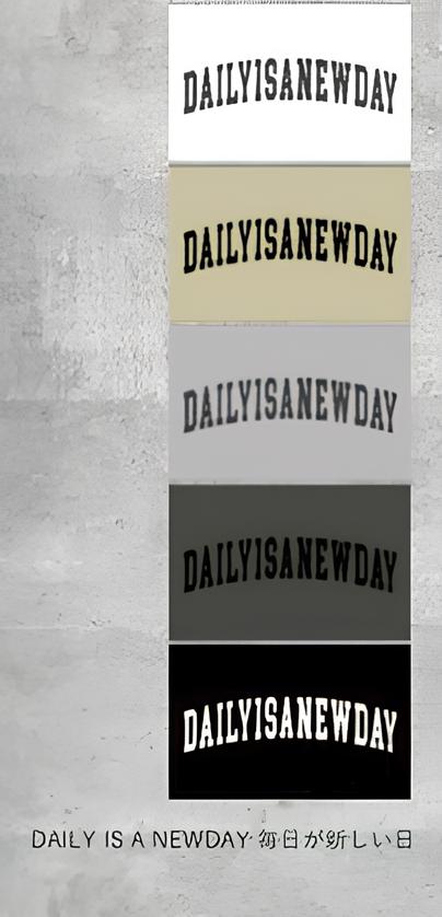 【Anna Kerry】"DAILY IS A NEW DAY"TEE/85262915