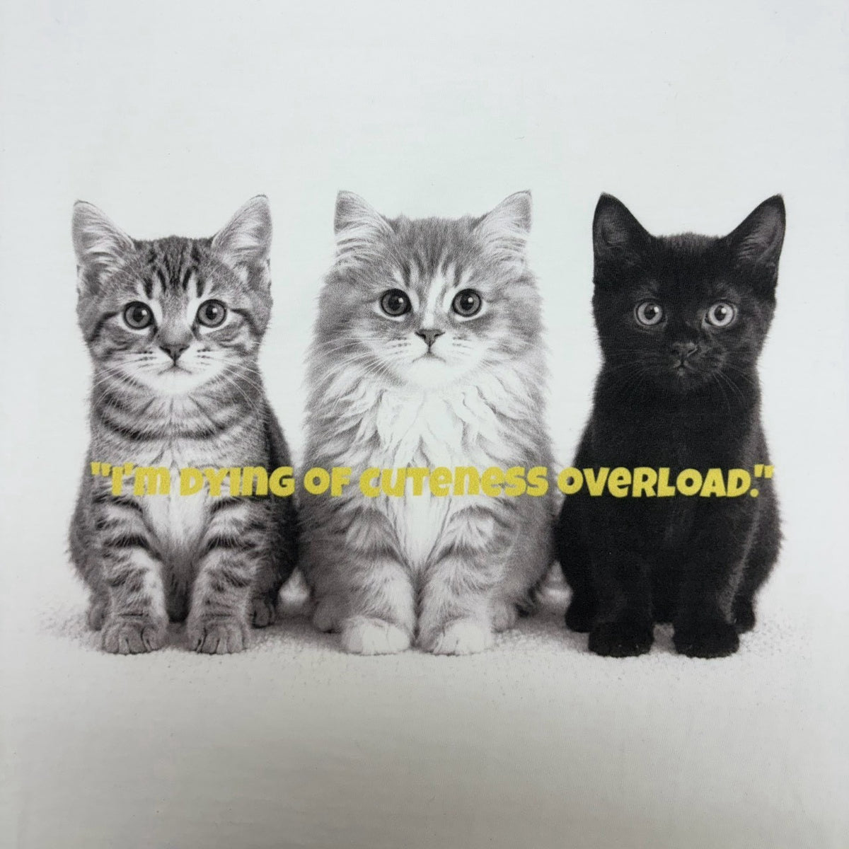 【siro de labonte】dog or cat?Tシャツ(ユニセックス)/R713227