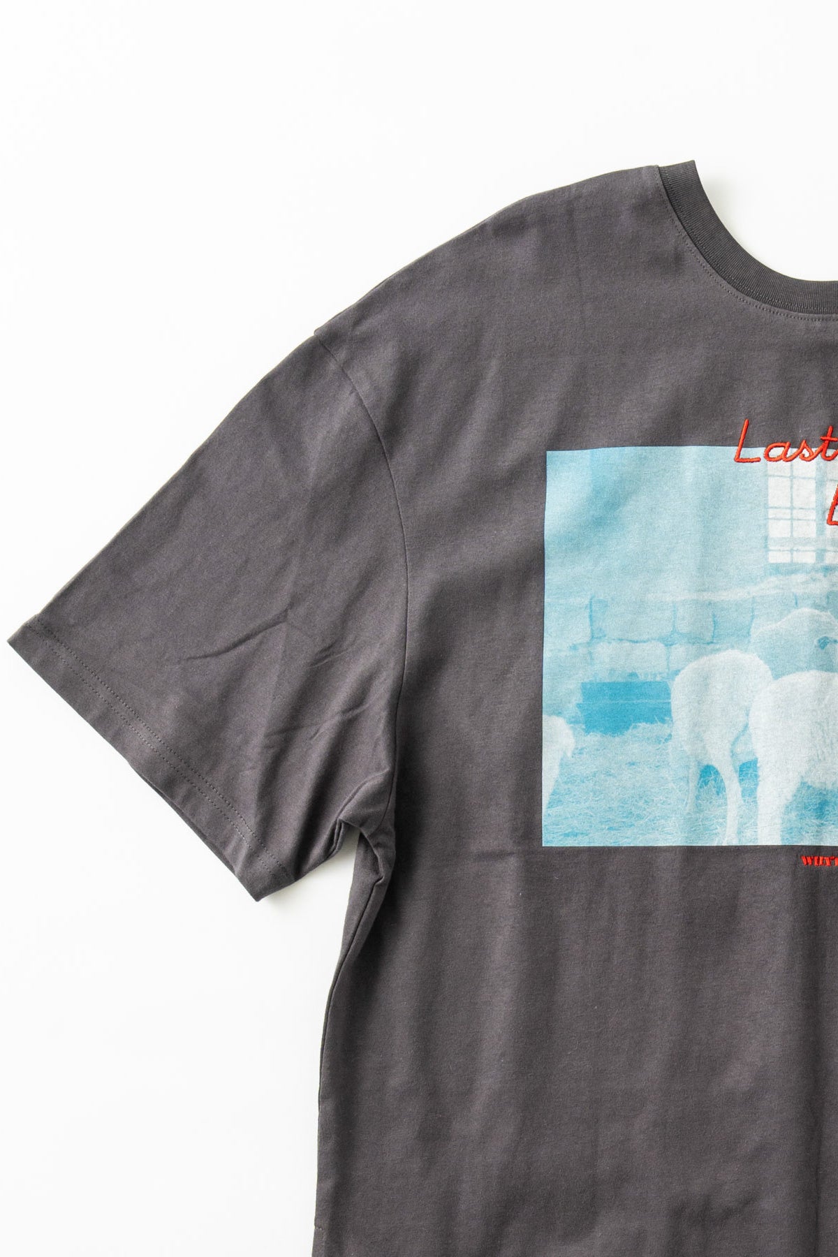 【WHYTO.】2wayプリントT"sheep"/WHT27HCS4025
