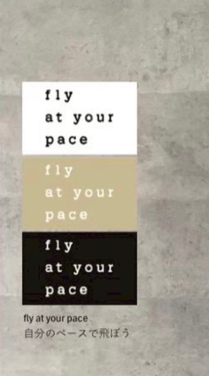 【ANNAKERRY】立体ロゴドルマンTブラウス/27262705