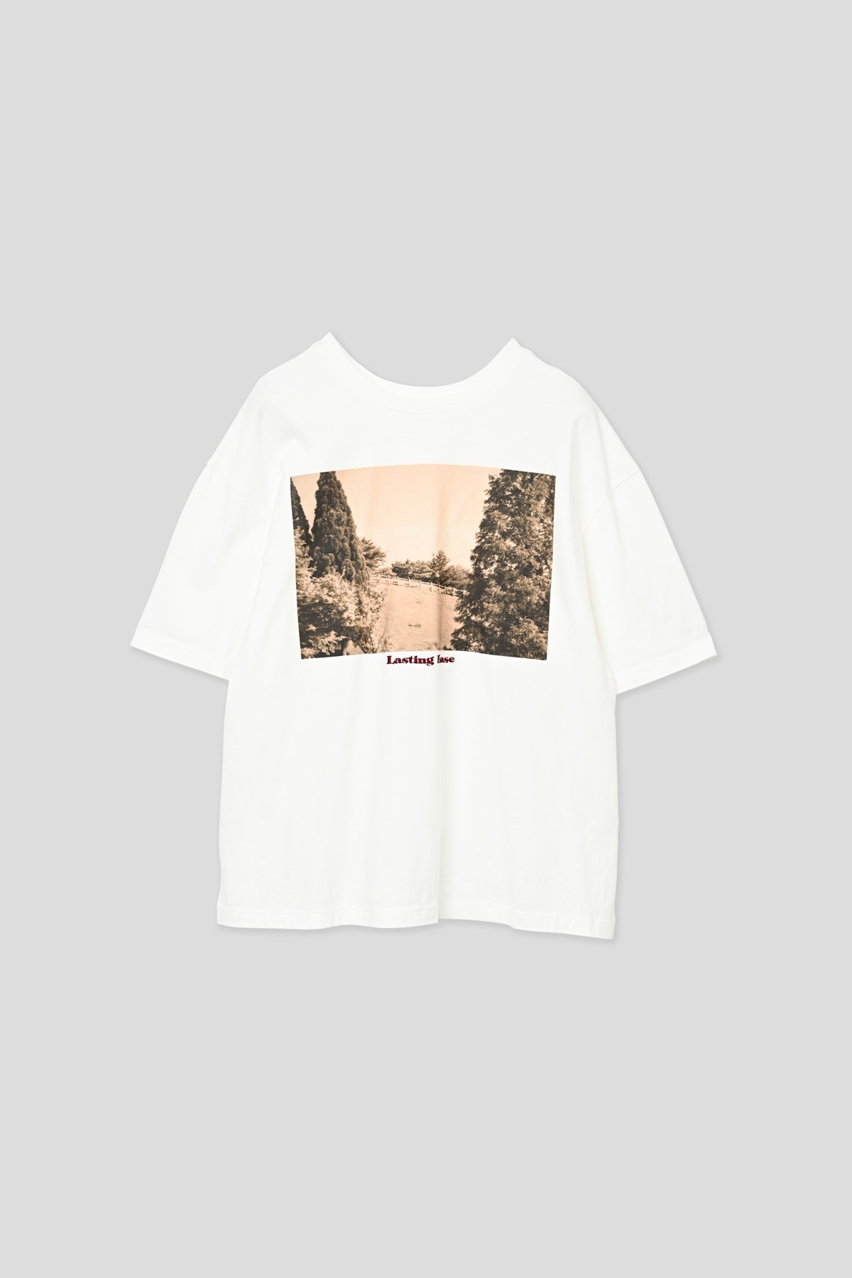 【WHYTO.】2wayプリントT "ranch"/WHT27HCS4035