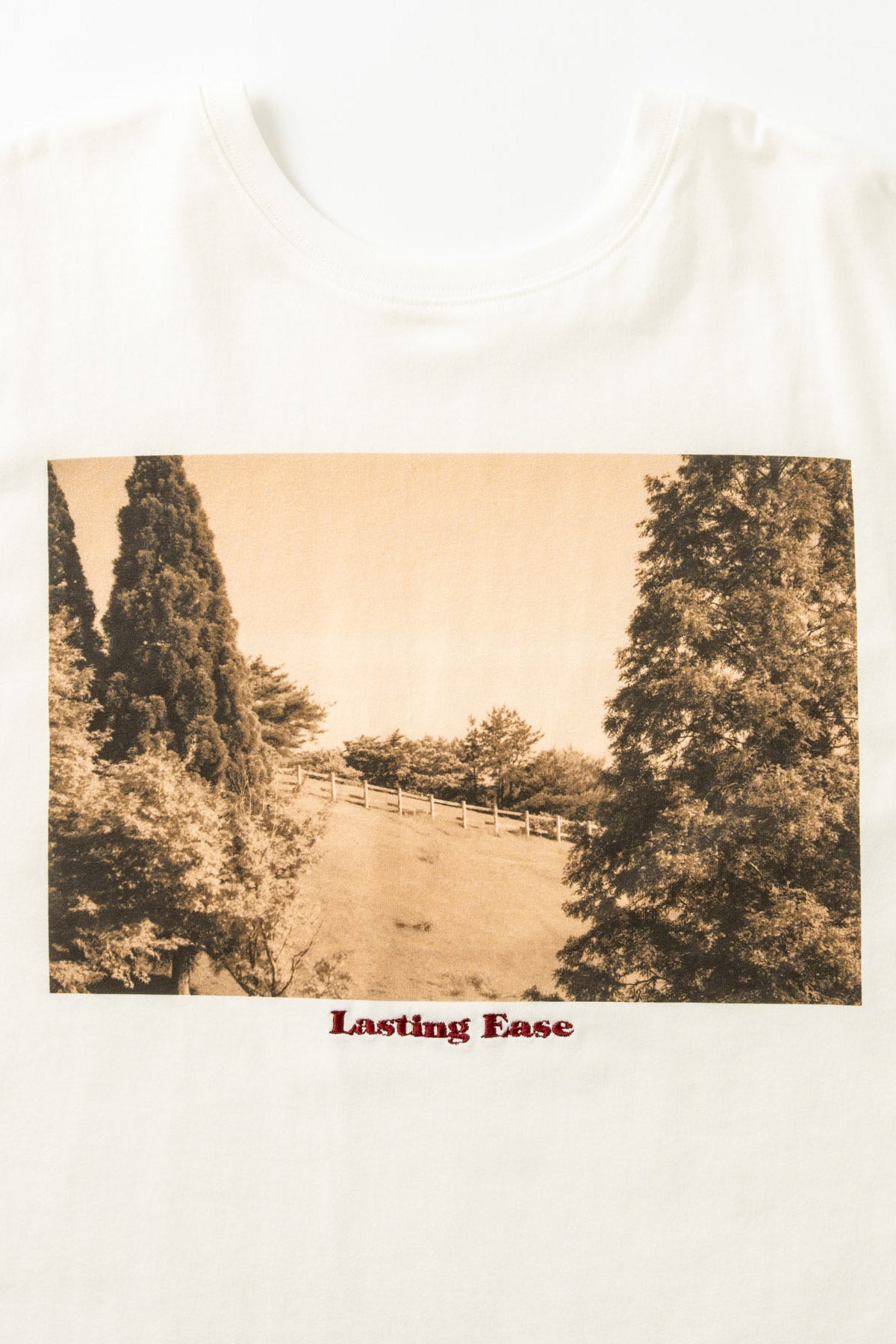 【WHYTO.】2wayプリントT "ranch"/WHT27HCS4035