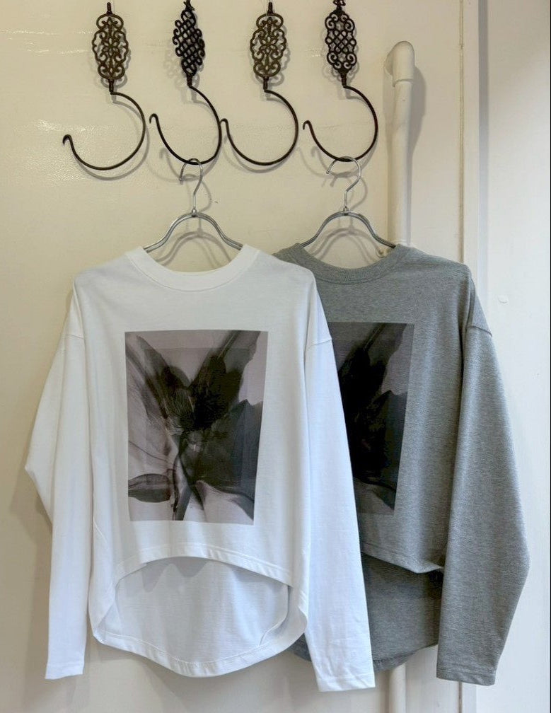 anana2026春新商品Wpointキャンペーン