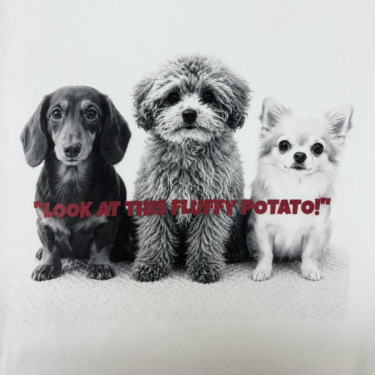 【siro de labonte】dog or cat?Tシャツ(ユニセックス)/R713227