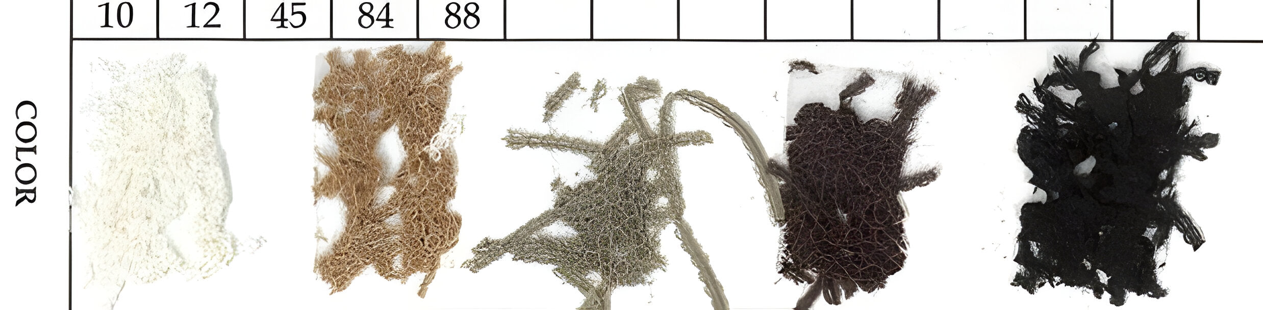 【CYNICAL】透かし編み半袖ニットプルオーバー/612-95065