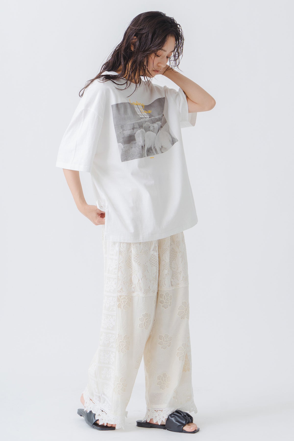 【WHYTO.】2wayプリントT"sheep"/WHT27HCS4025