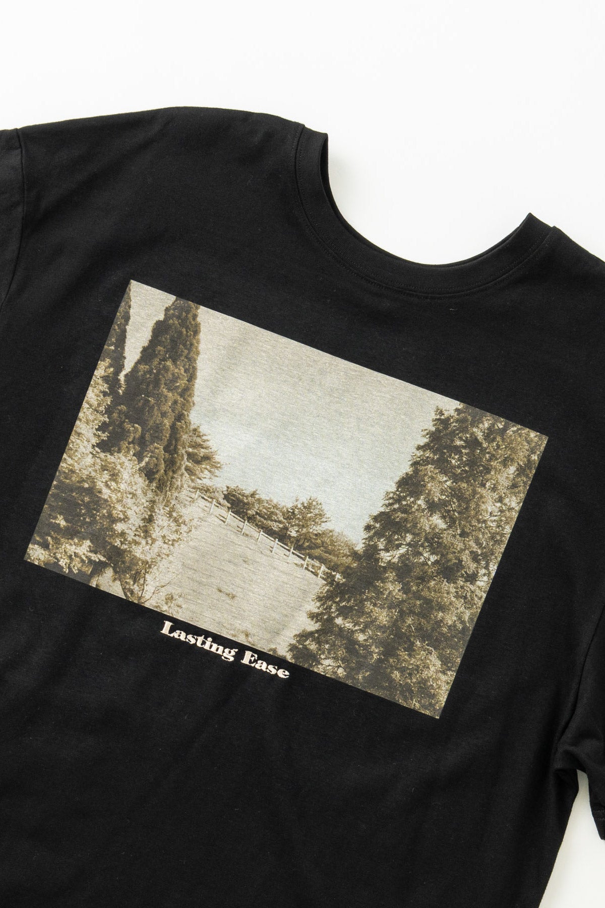 【WHYTO.】2wayプリントT "ranch"/WHT27HCS4035