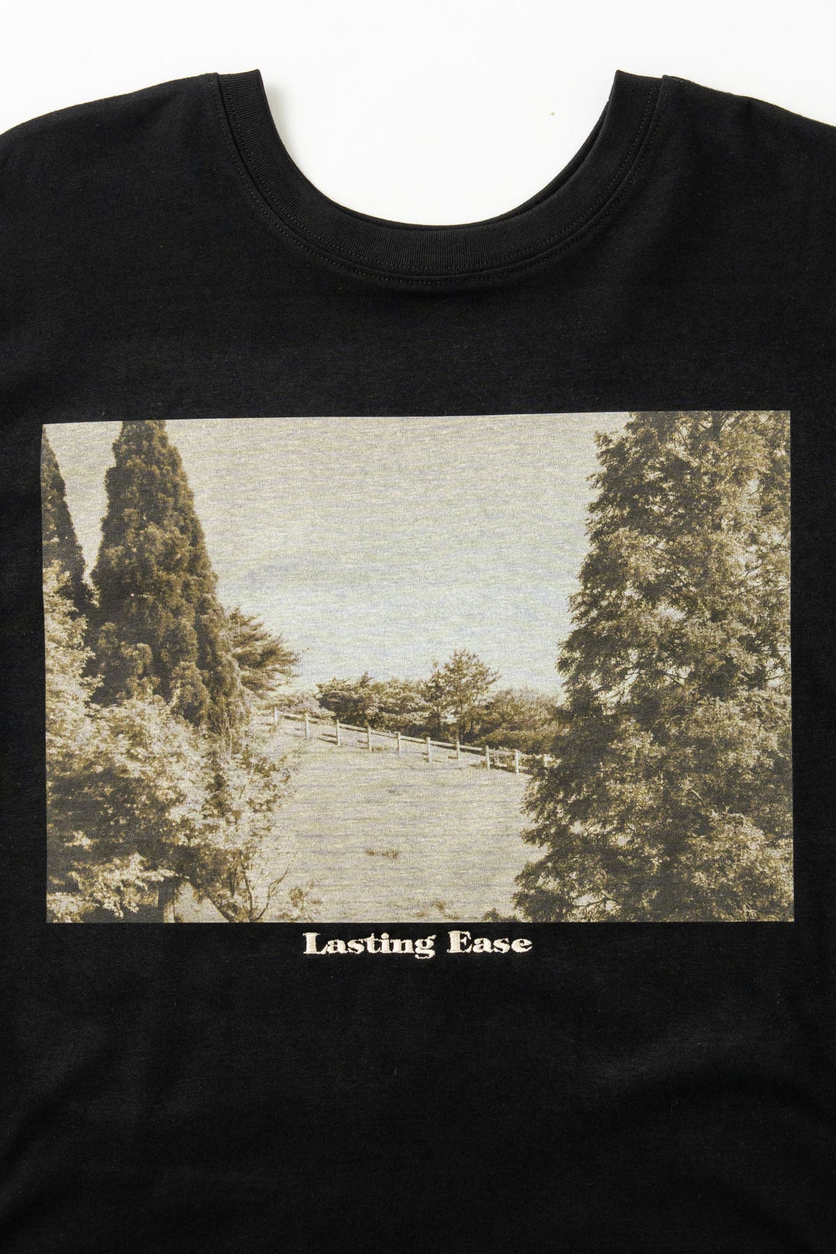 【WHYTO.】2wayプリントT "ranch"/WHT27HCS4035